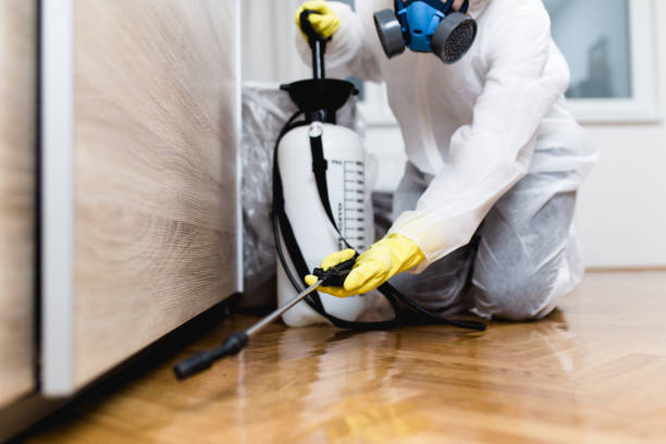 Best Residential Pest Control  in Castle Rock, CO
