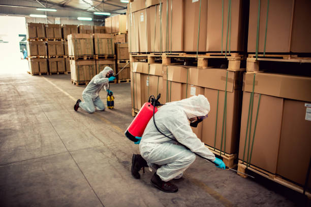 Best Best Pest Control Companies  in Castle Rock, CO