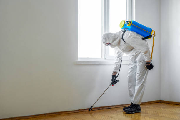 Best Pest Prevention Services  in Castle Rock, CO
