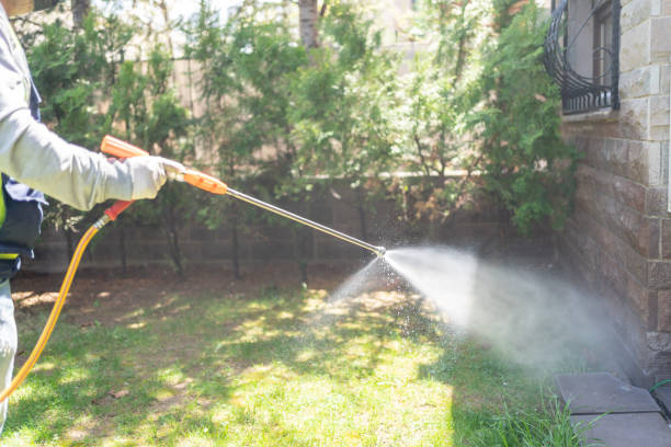 Best Emergency Pest Control  in Castle Rock, CO