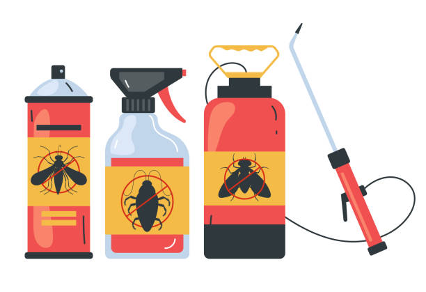 Best Bed Bug Extermination  in Castle Rock, CO