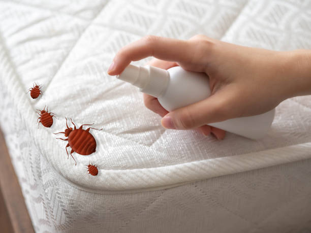 Best Pest Inspection Near Me  in Castle Rock, CO